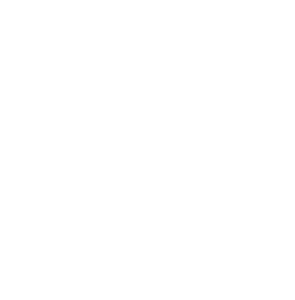 White transparent Logo